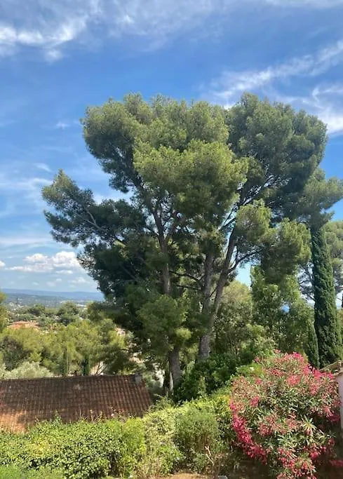 Villa Moderne Vue Mer Et Collines Aux Portes Des Calanques La Ciotat France